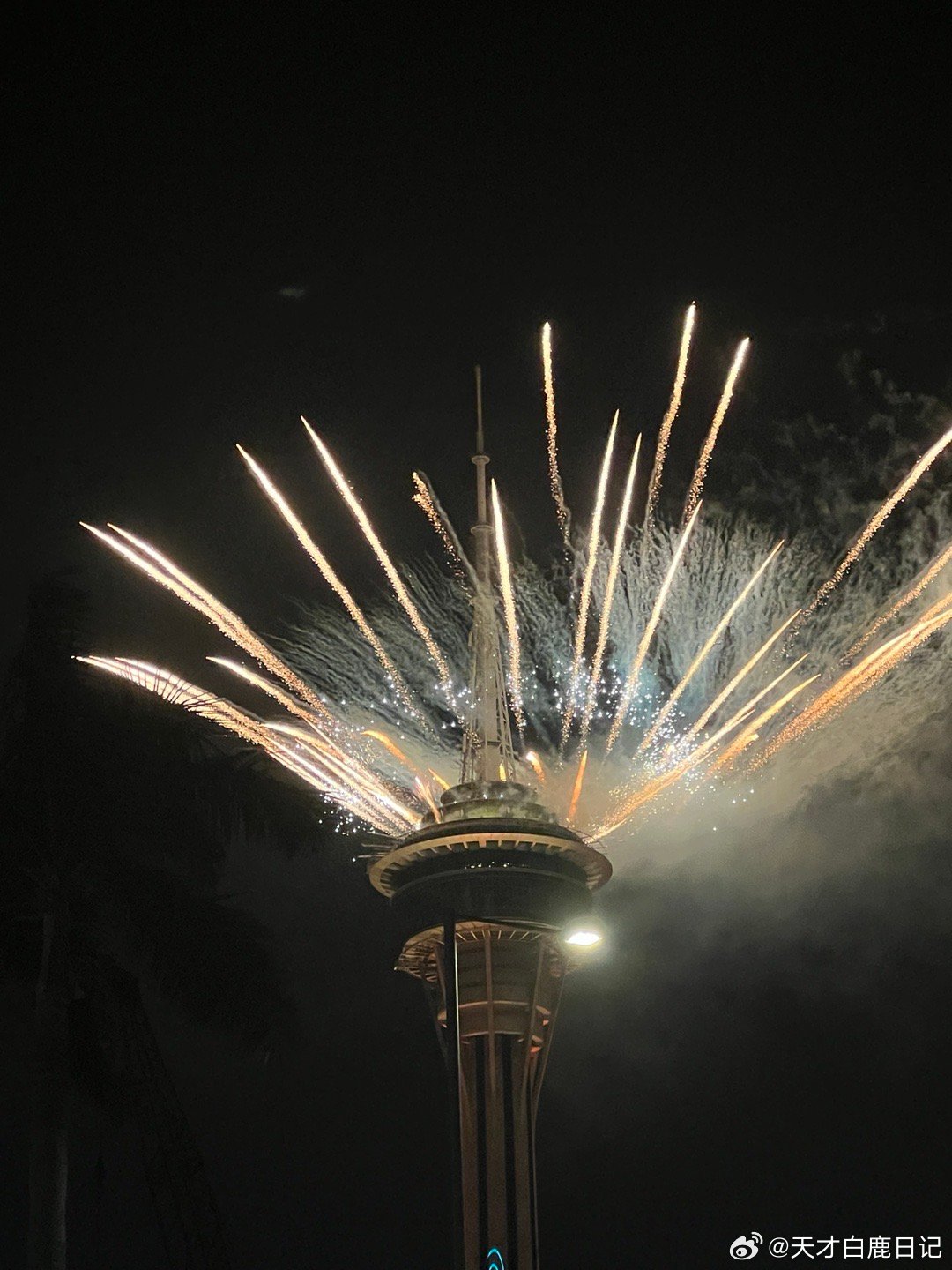 2024澳门天天好运来袭,安全解码策略_WIT877.36升级版