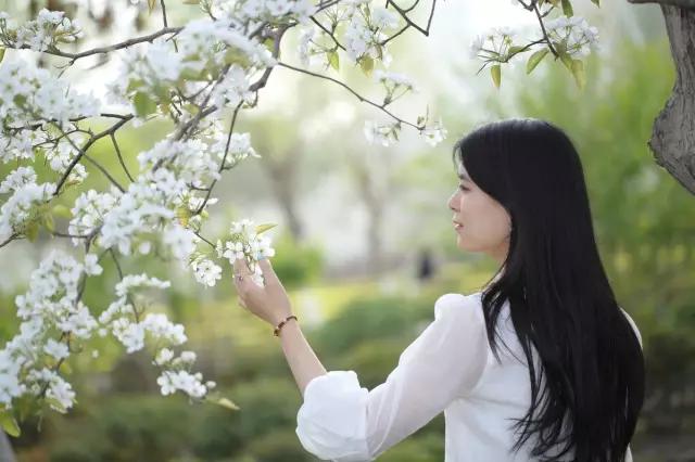 C姐直播,与自然美景的邂逅,寻找内心的平和与宁静