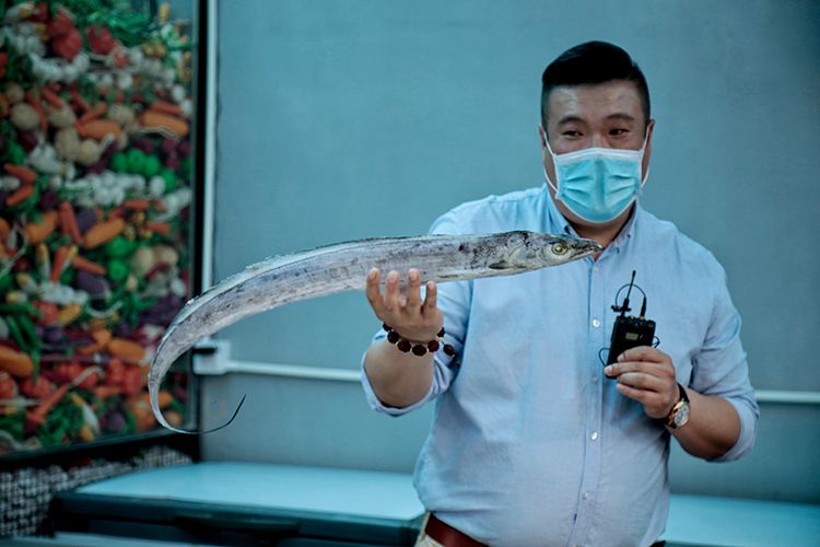 直播卖带鱼,科技赋能,新鲜直达,让生活更便捷!