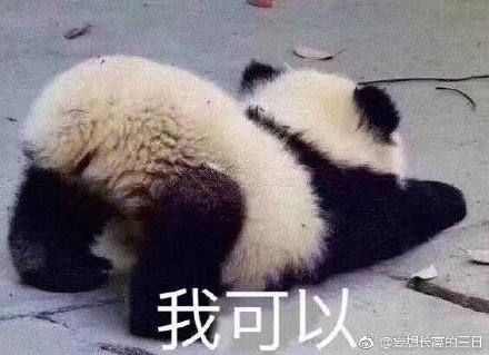 “2024澳门今晚独中一肖,图库动态解读_家庭版OAT212.5”