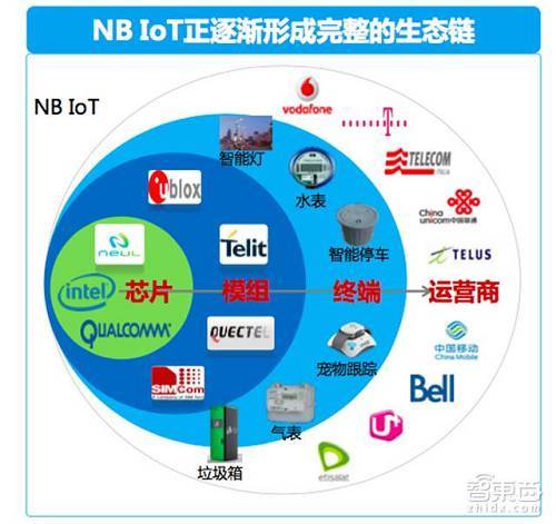 直播小红盒,现象背后的多维度探析