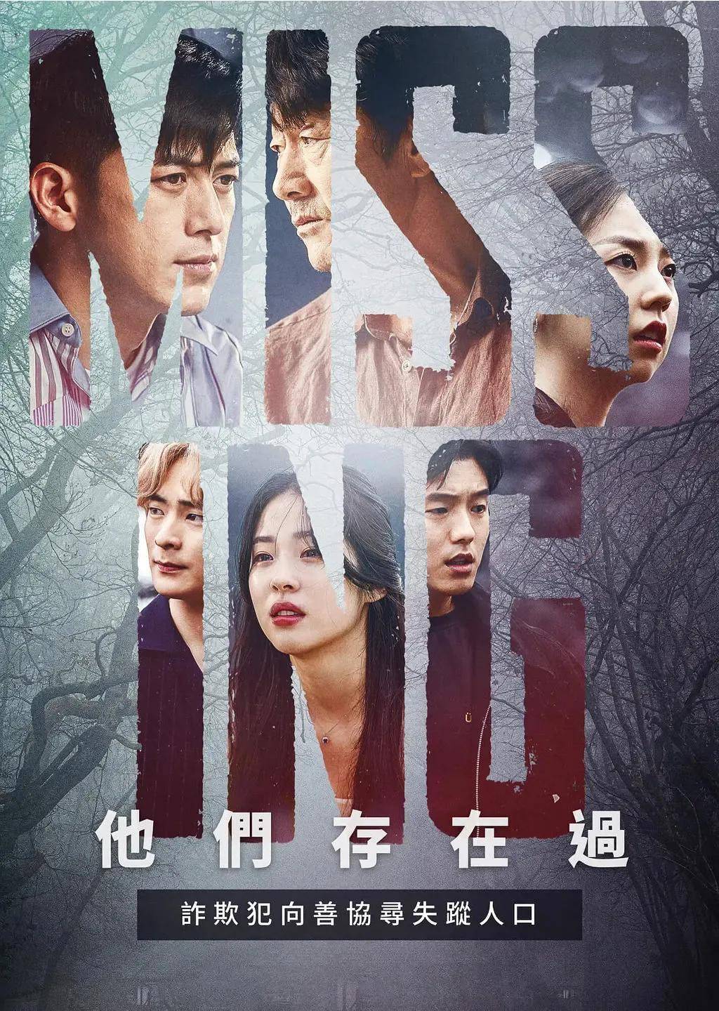 最新烧脑电视剧,心灵与自然的奇妙旅程