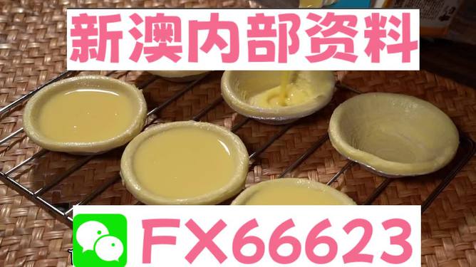 新澳精准资料免费分享,中级版CEN672.22动态词汇解析
