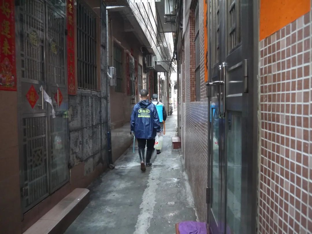 群姐直播,小巷深处的独特风味,一家隐藏版特色小店大揭秘!