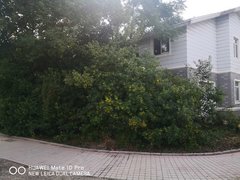 尚东1956最新房价揭秘,友情与家园的日常故事