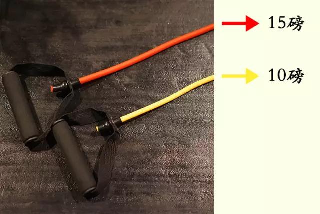 拉力绳直播,从入门到精通的详细步骤指南