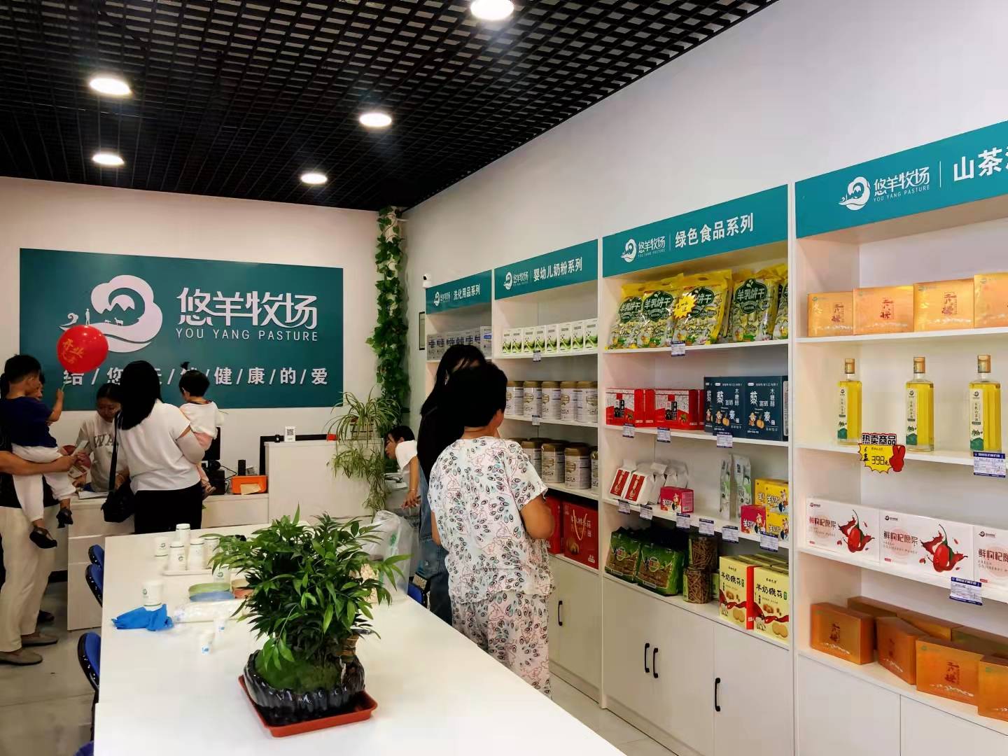 直播卖羊奶,时代的变迁与行业的崛起