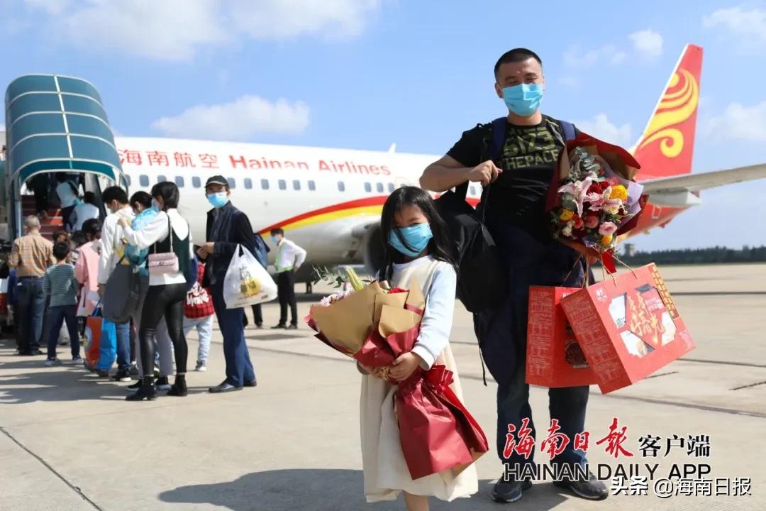 荆州飞机最新消息解析,观点阐述与分析