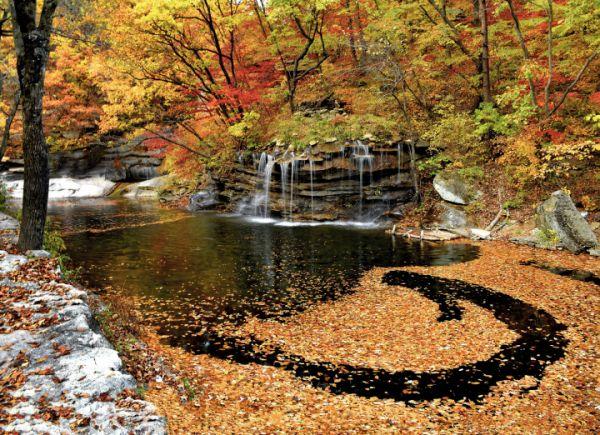 天女直播间,探索虚拟与现实的交融