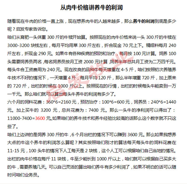 鲁西黄牛苗最新价格动态,变化中的市场与学习自信的力量