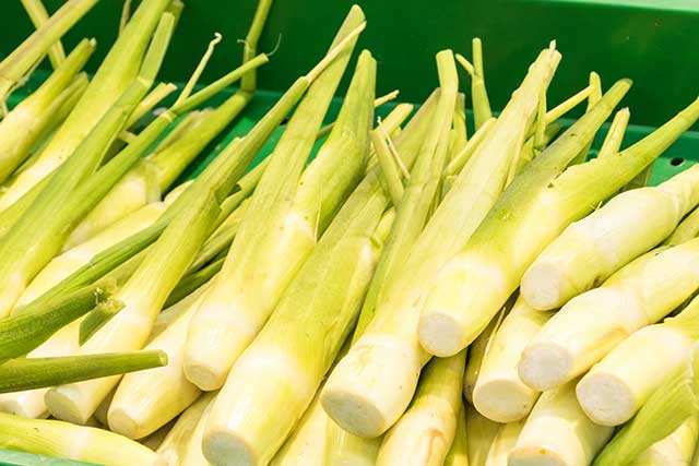 卖茭白直播,小巷深处的茭白诱惑