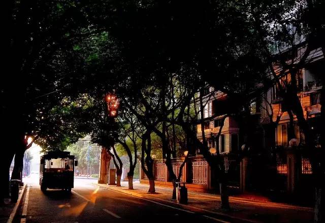 那人的直播,小巷中的独特风味探索之旅