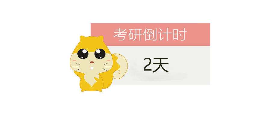 婷哒哒直播,日常温馨趣事与友情纽带