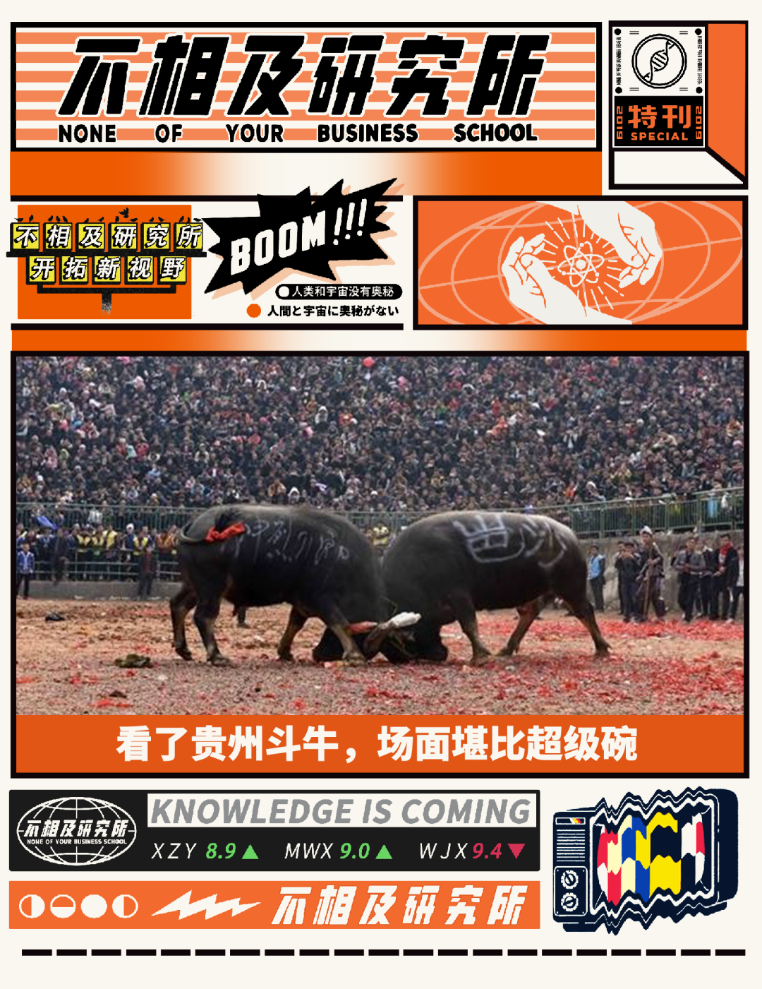 贵州斗牛最新信息海报,揭秘热血沸腾的斗牛盛事