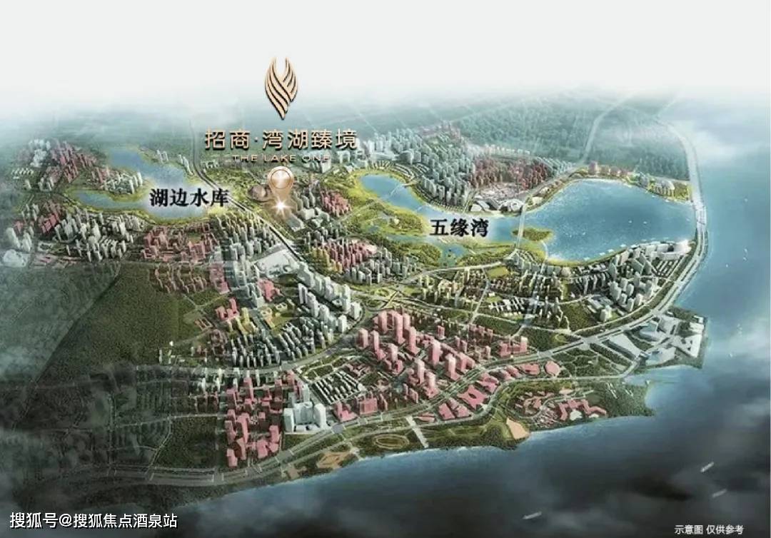 厦门湾南岸最新动态,全面指南与步骤详解