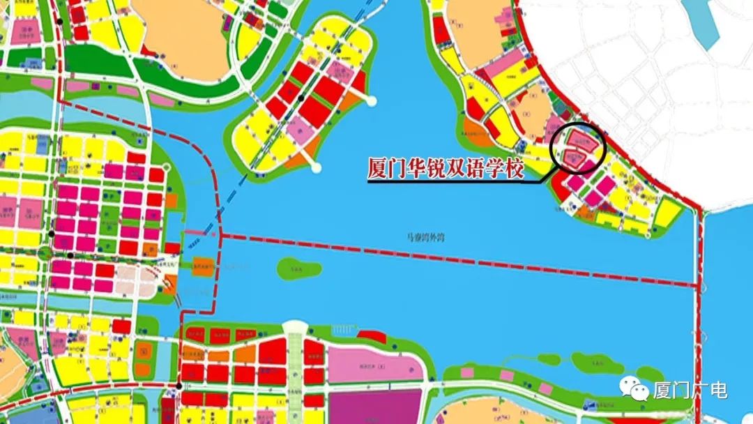 厦门湾南岸最新动态,全面指南与步骤详解