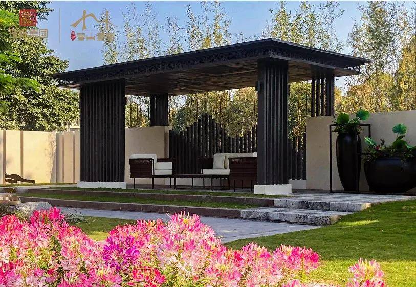 2024年新澳门今晚开奖结果解析与解读_LZB3.20.24悬浮版