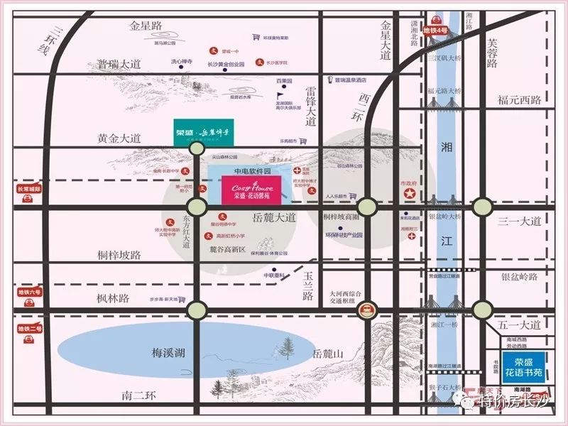 岳麓峰景最新动态揭秘,峰顶奇妙一日游