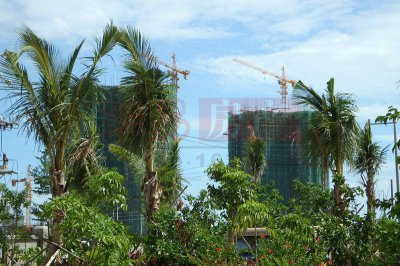 海南花梨湾最新动态