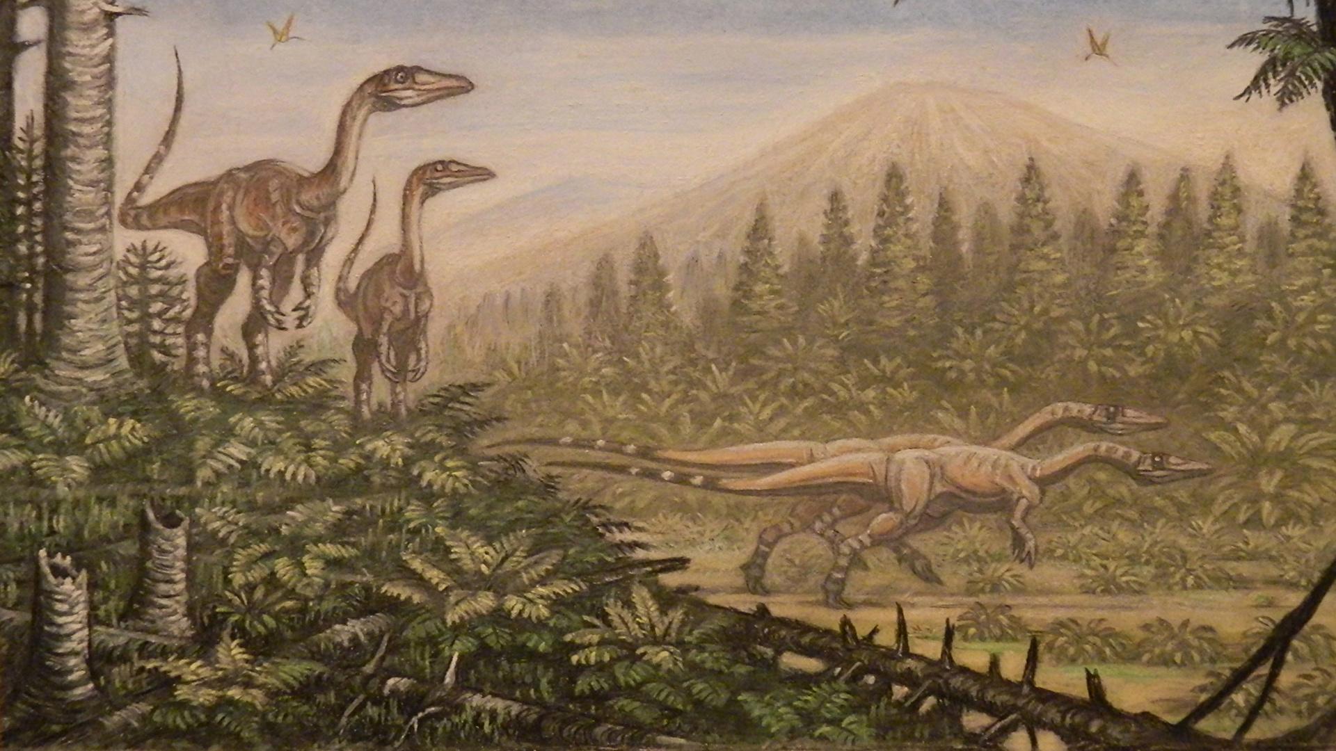 奇妙生物公司最新暴光,变化中的自信与成就感