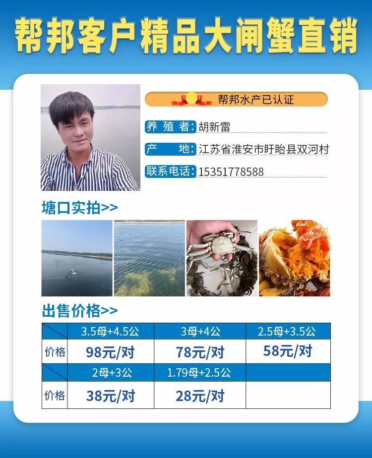 天津螃蟹价格最新行情🦀🔍全面解析!🎉