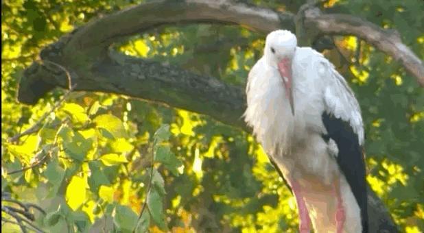 贷上钱最新活动,一场探索自然美景的治愈之旅,启程吧!