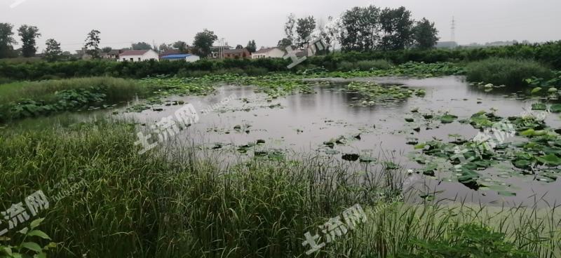 众兴水库最新动态,探寻小巷中的独特美味