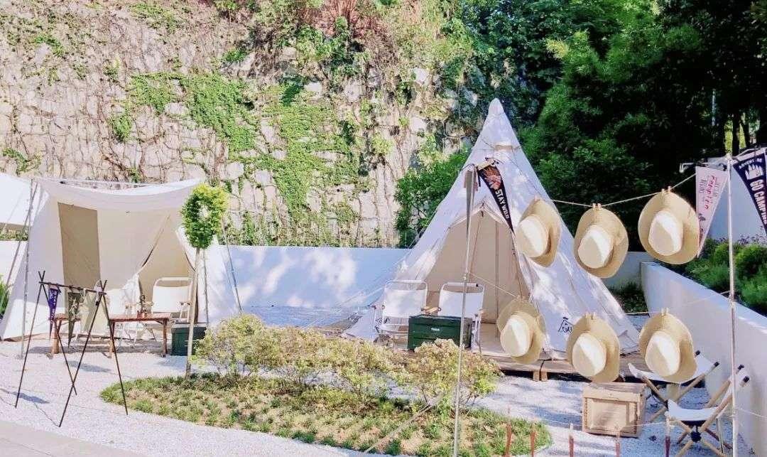 v联盟直播,小红书分享V联盟直播——电竞爱好者的盛宴