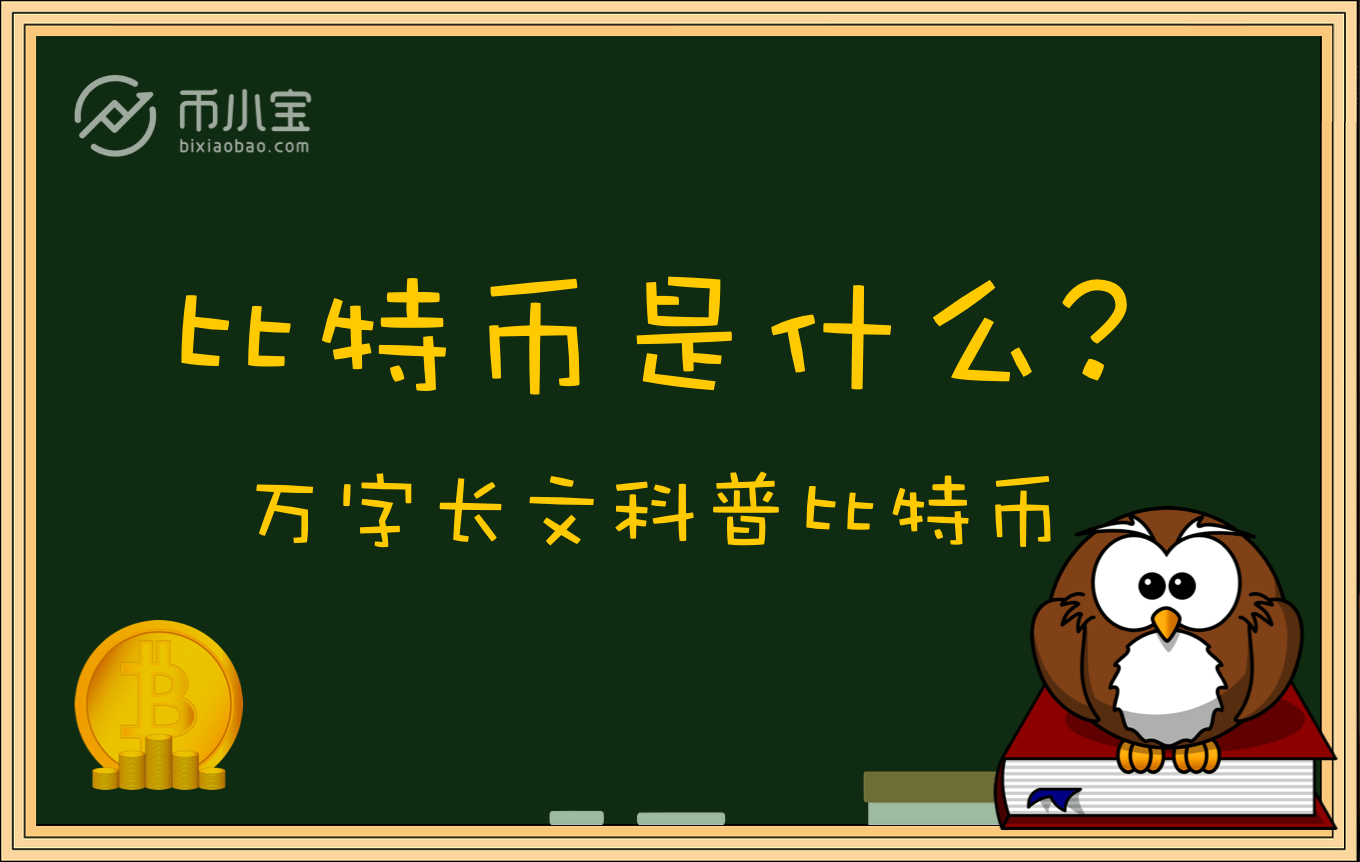 死豌豆直播现象深度解析与观点阐述