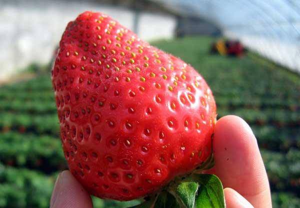 2024年最新最准资料,决策支持方案_VMK51.260最佳版