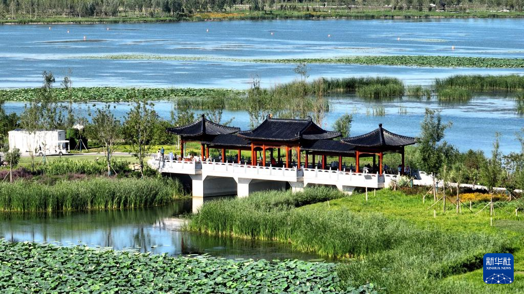 凤庆法院直播,与自然美景对话,探寻内心平和宁静之旅