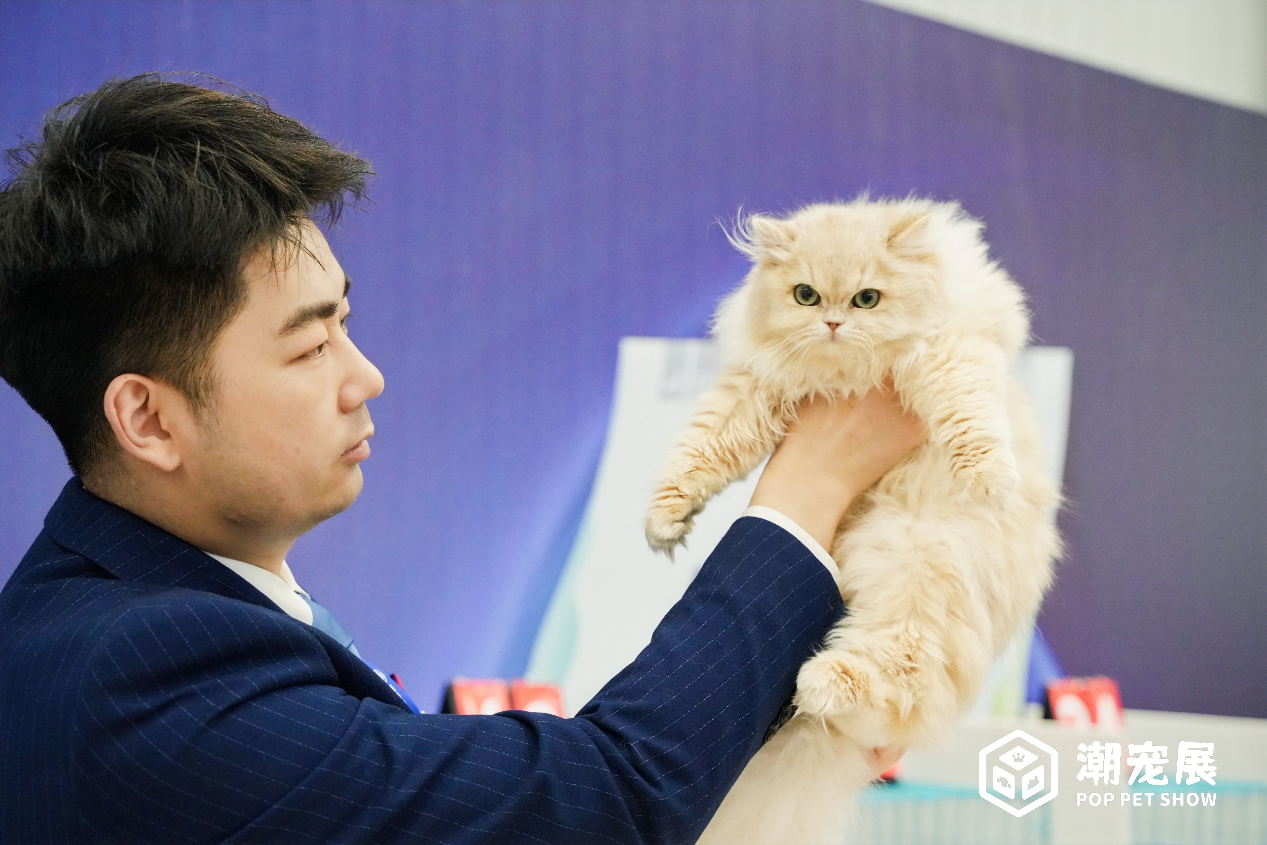 萌宠直播新星,直播间小虎引领风尚新潮流