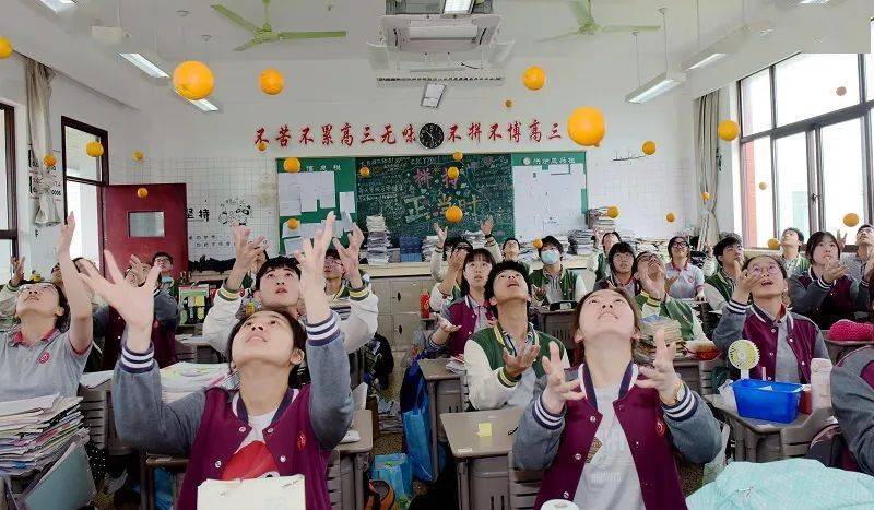 2023澳门特马今晚开奖85期,行动规划执行_UNZ54.156语音版