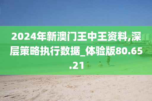 新澳门王中王100%期期中2024,方案优化实施_SDN51.877定制版