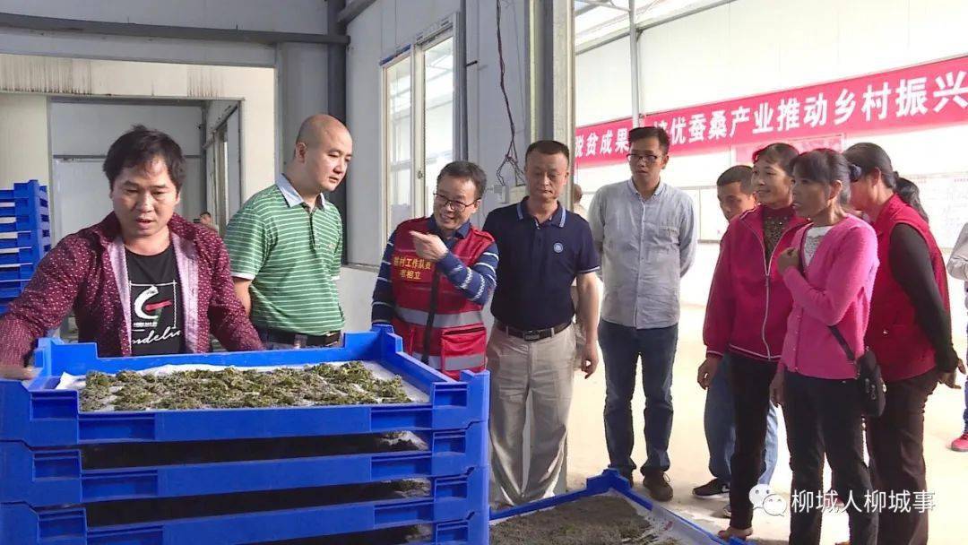 智能自控最新动态,引领未来科技生活的新篇章