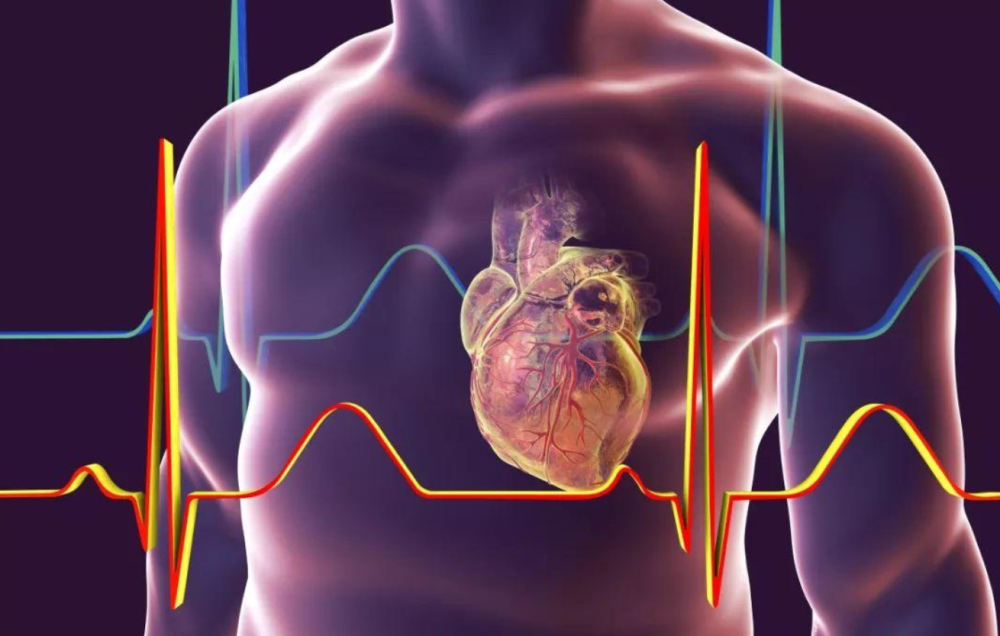 新奥彩资料免费全公开,科学解释分析_VXU54.326光辉版