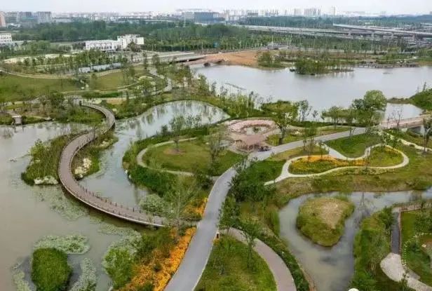 盐城龙湖公园最新动态,一种深入的观点分析