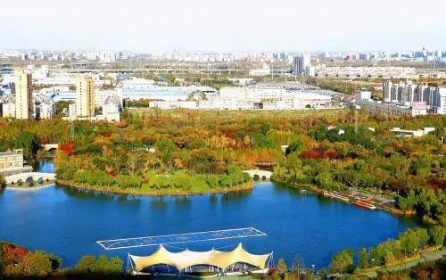 盐城龙湖公园最新动态,一种深入的观点分析