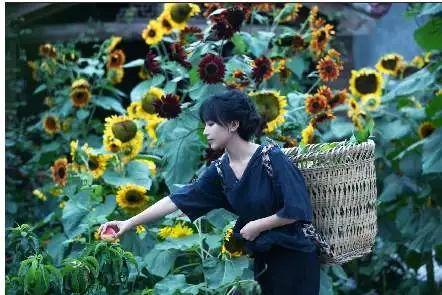 养蚕最新技术视频,变化的力量,自信与成就感的源泉