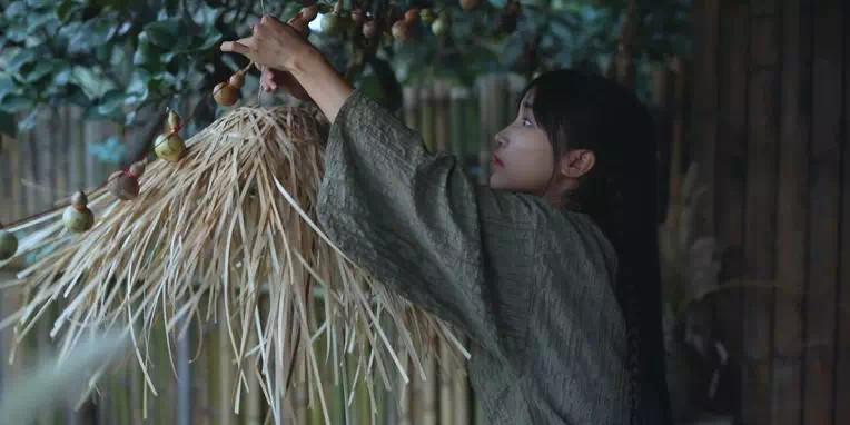 养蚕最新技术视频,变化的力量,自信与成就感的源泉