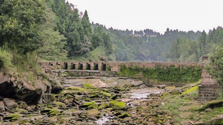 资阳中和镇最新动态,一个多元视角的探讨