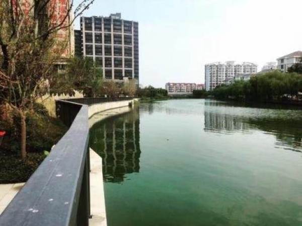 汊河河畔的温馨日常最新消息揭秘