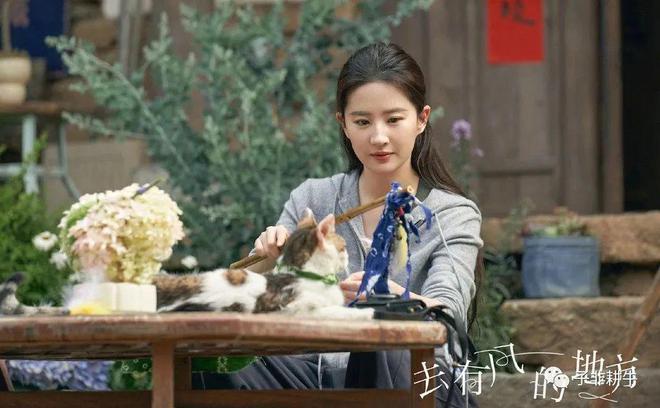 关悦佟大为最新视频,自然美景的心灵之旅,探寻宁静之美