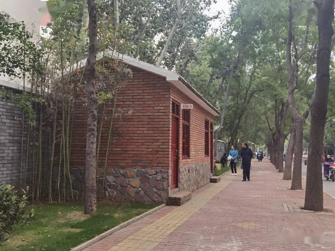 德阳今日最新新闻,小巷深处的独特风味——一家隐藏版特色小店惊艳亮相