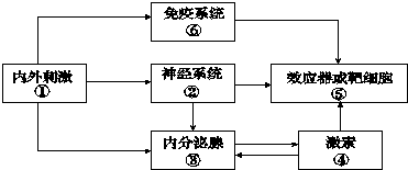 2024澳门鬼谷子正版资料,可依赖操作方案_THD94.99旗舰款