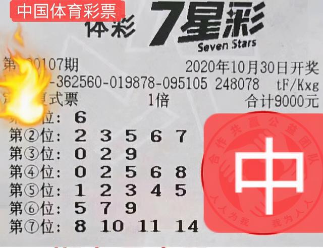 新奥彩的最新消息今天,实地数据验证_GFZ94.338私人版