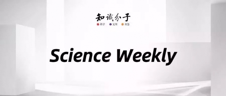 pppp44最新域名,探索前沿科技,掌握最新动态