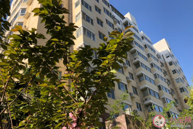 温馨小城的房价故事