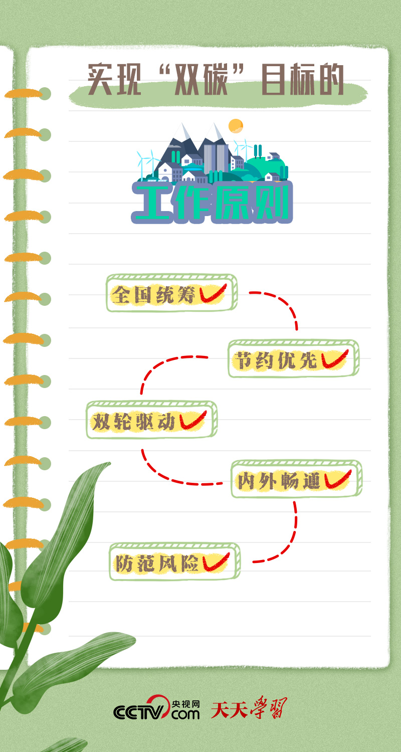新澳版精准单双大全,仿真方案实施_HKA94.740环保版