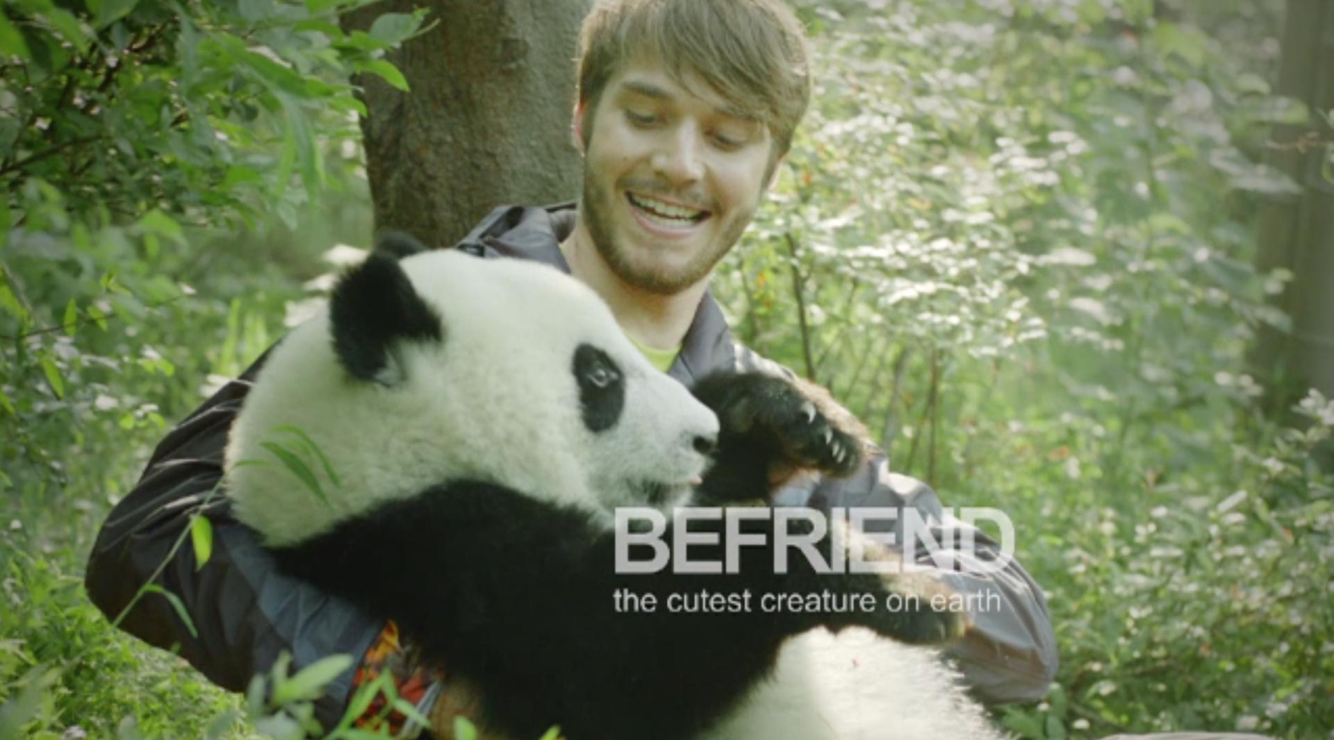 熊猫李哥最新视频,森林中的温馨日常